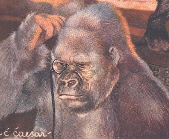 Gorilla sapiens