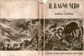 copertina di Il ragno nero