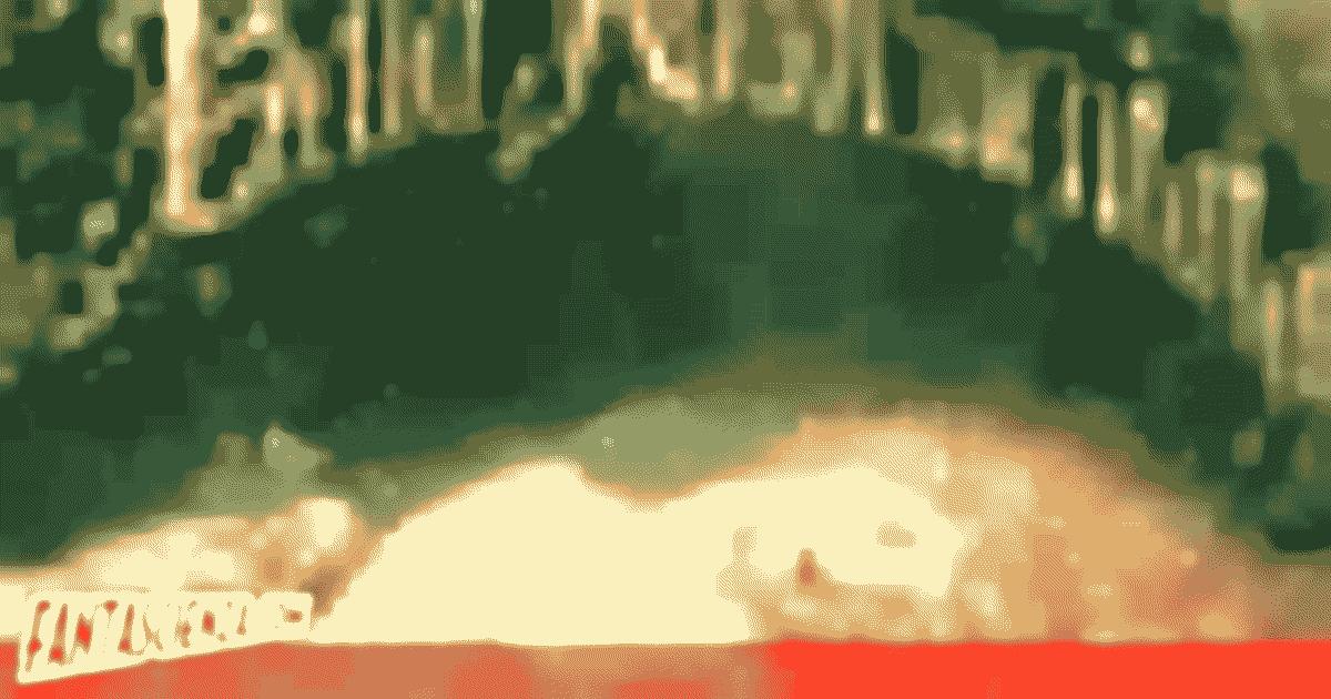 Il volume in uscita in Italia, <i>La bella addormentata</i>